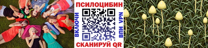 Галлюциногенные грибы Magic Shrooms  как найти закладки  Заринск 